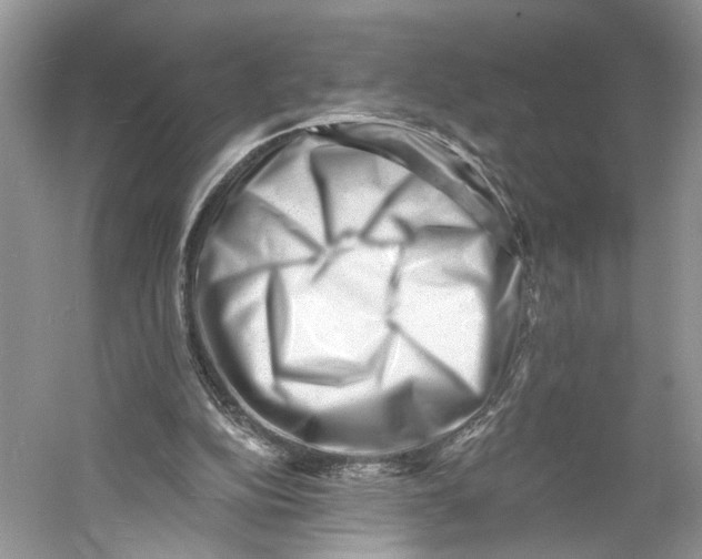 X0000060740152200512011429