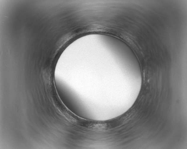 X0000060740156200512011429