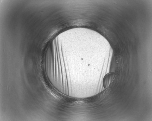 X0000060740159200512011429