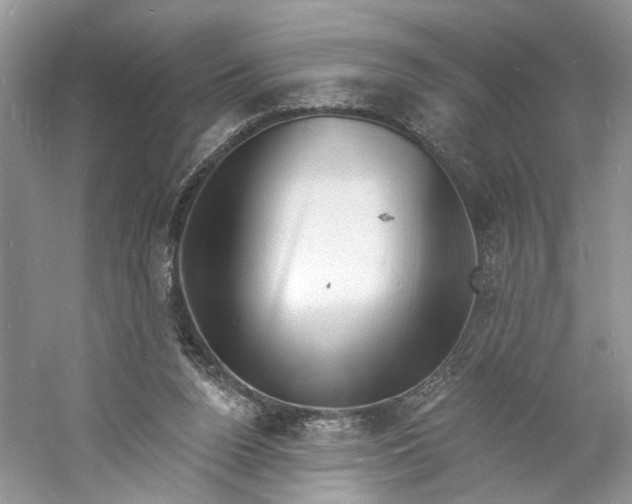 X0000060740160200512011429