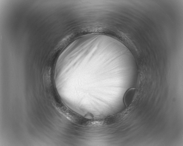 X0000060740163200512011429