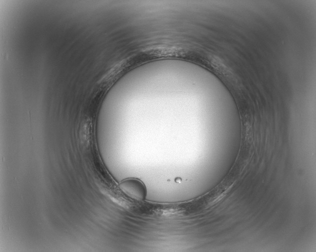 X0000060740165200512011429