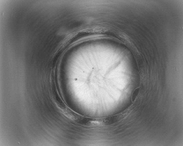 X0000060740167200512011429