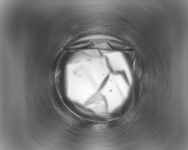 X0000060740168200512011429