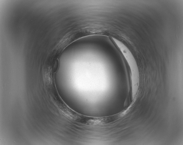 X0000060740170200512011429