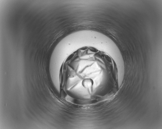 X0000060740171200512011429