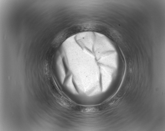 X0000060740173200512011429