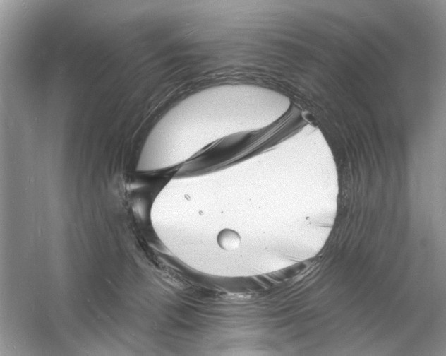 X0000060740176200512011429