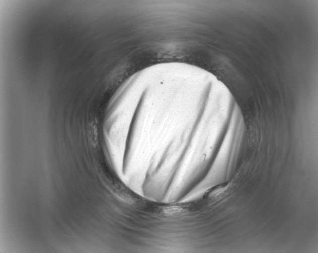 X0000060740183200512011430