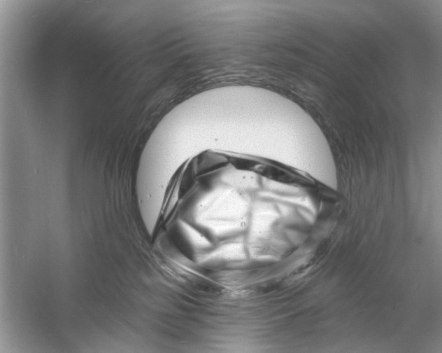 X0000060740185200512011430