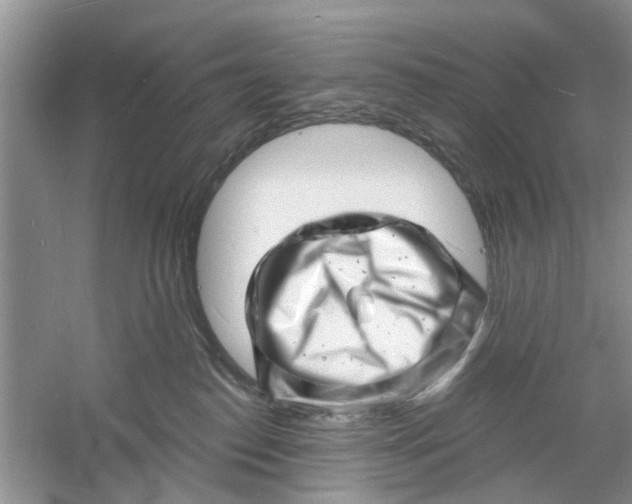 X0000060740186200512011430