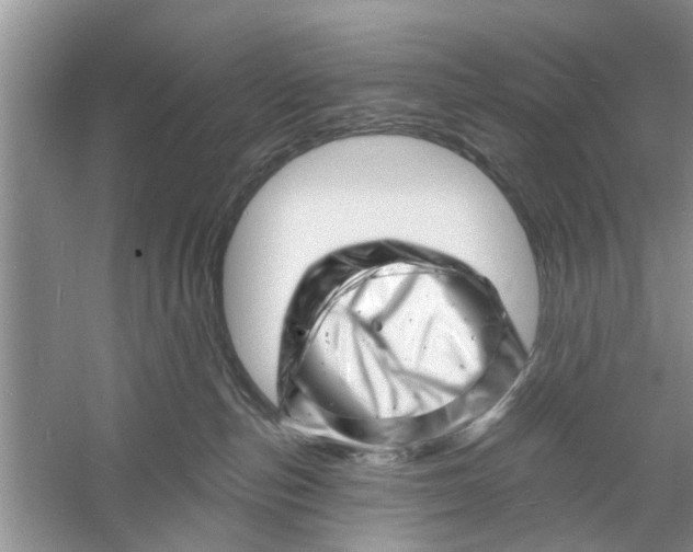 X0000060740187200512011430