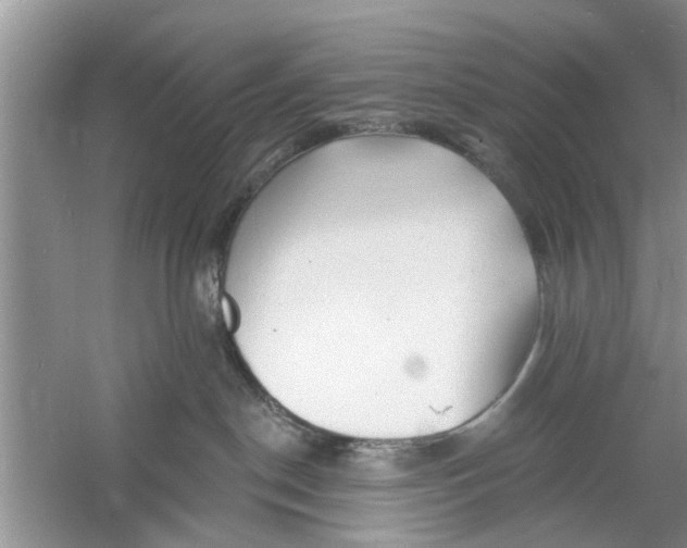 X0000060740190200512011430