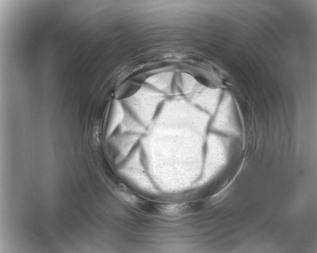 X0000060740191200512011430