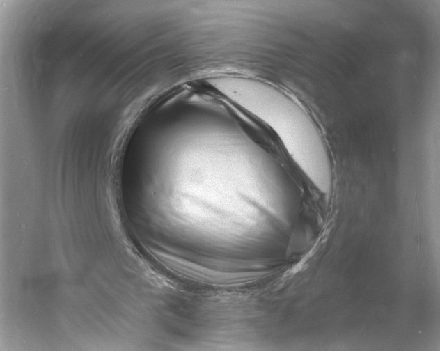 X0000060740193200512011429