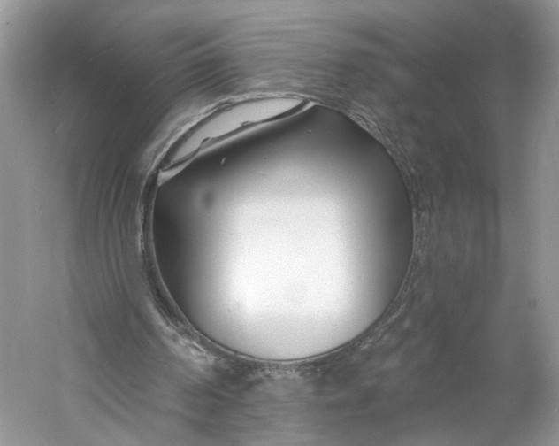 X0000060740194200512011429