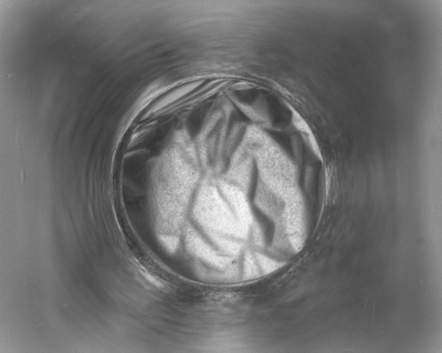 X0000060740195200512011429