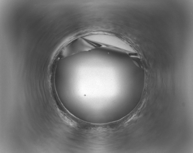 X0000060740197200512011429