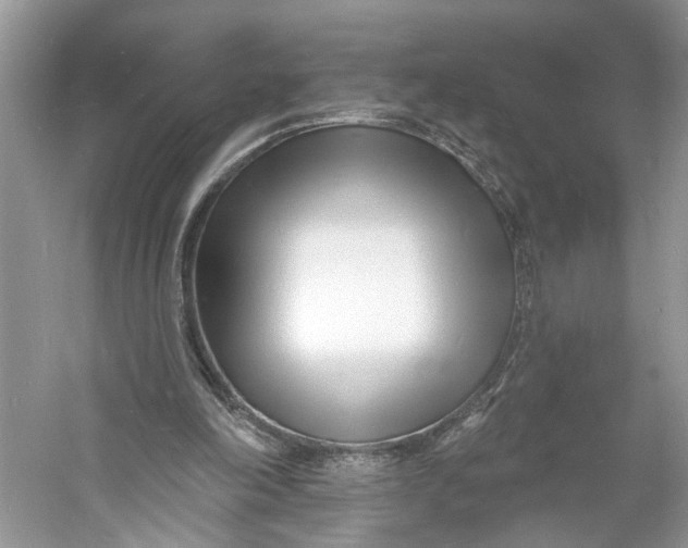 X0000060740198200512011429