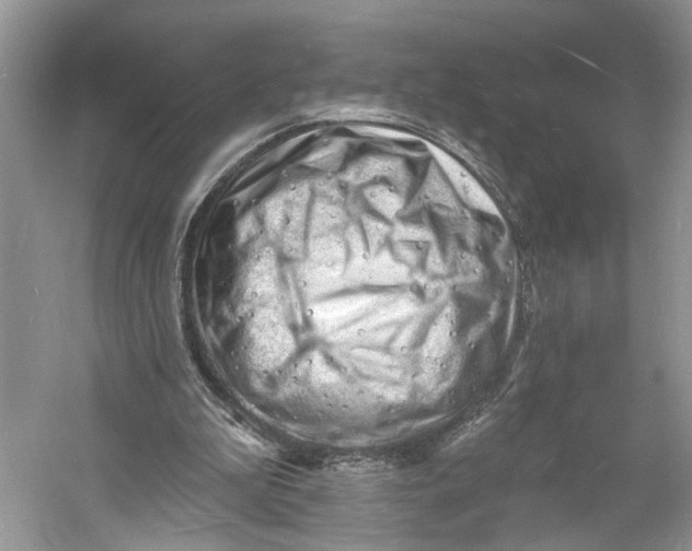 X0000060740199200512011429