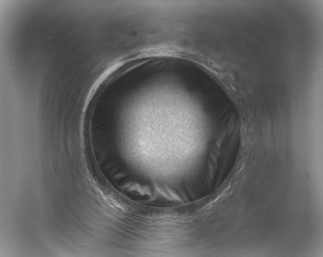 X0000060740200200512011429