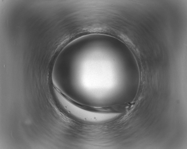 X0000060740201200512011429