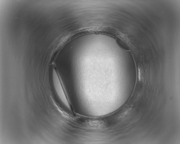 X0000060740205200512011429