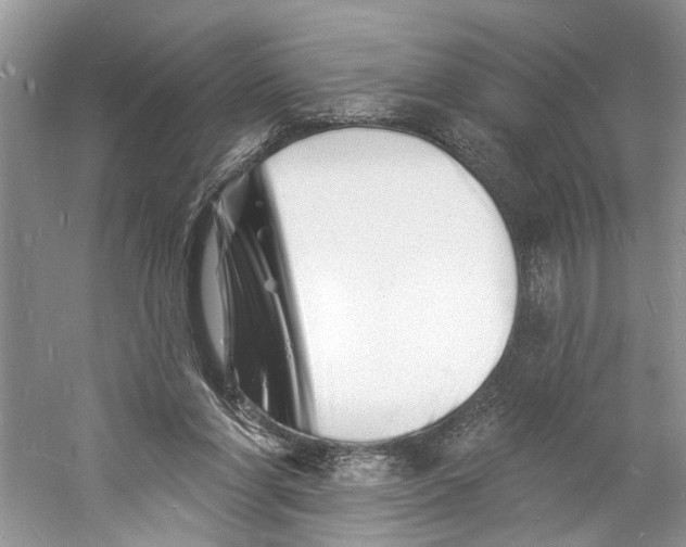 X0000060740206200512011429