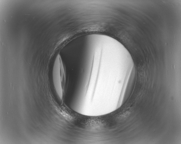 X0000060740207200512011429