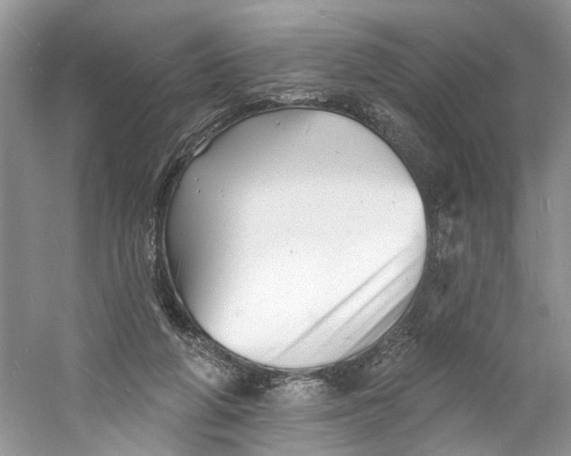 X0000060740210200512011429