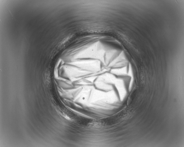 X0000060740211200512011429