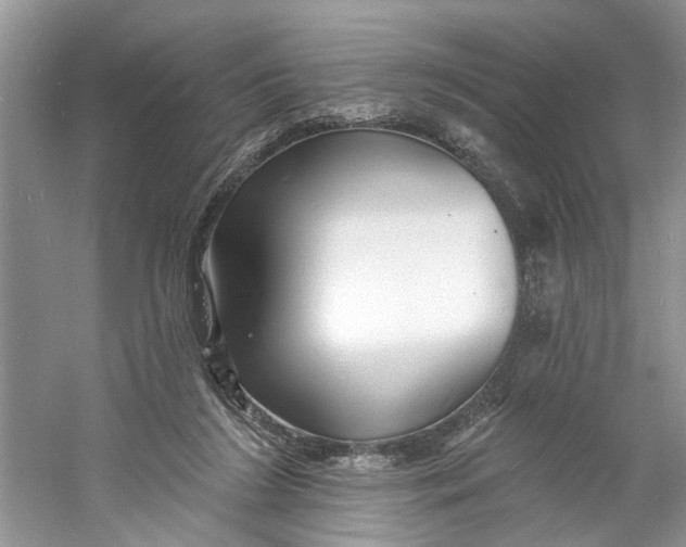 X0000060740212200512011429