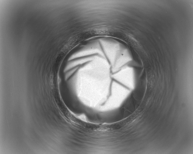 X0000060740213200512011429