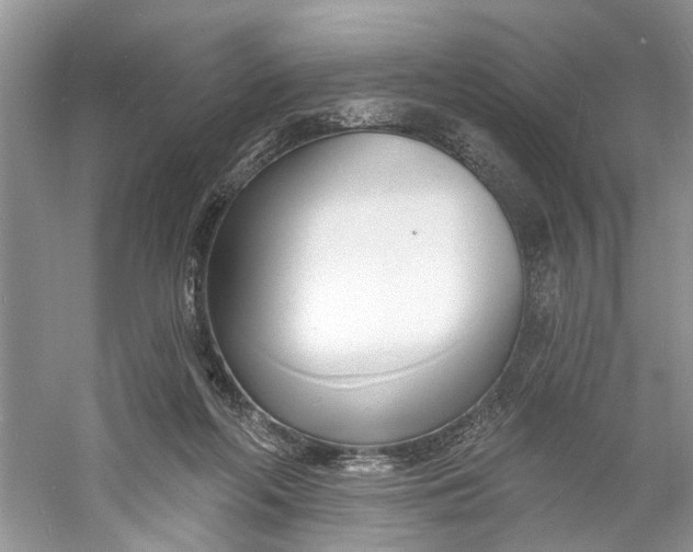 X0000060740214200512011428