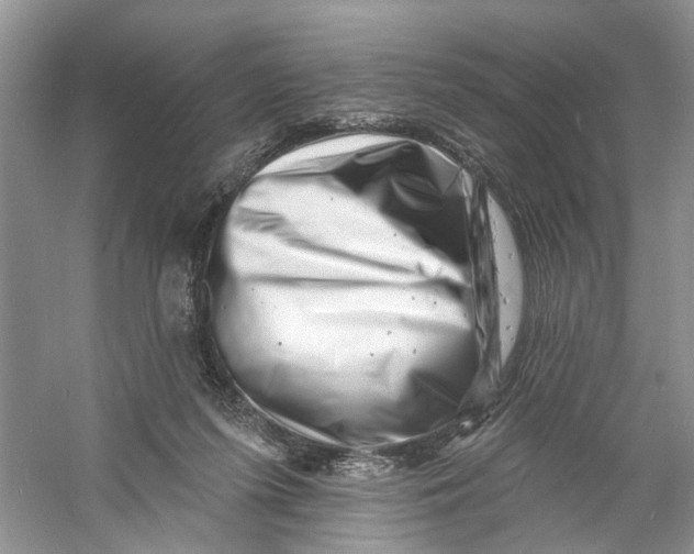 X0000060740215200512011428