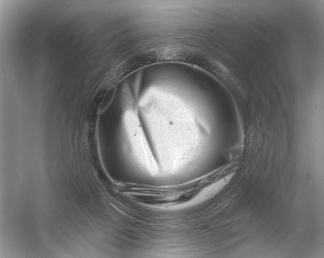 X0000060740217200512011428