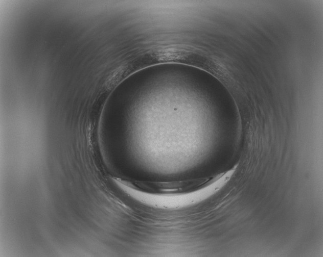 X0000060740219200512011428