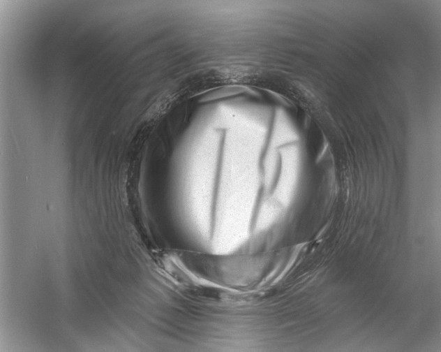 X0000060740221200512011428