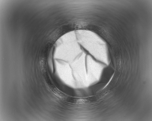 X0000060740222200512011428