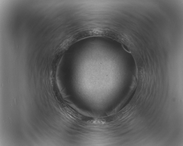 X0000060740223200512011428