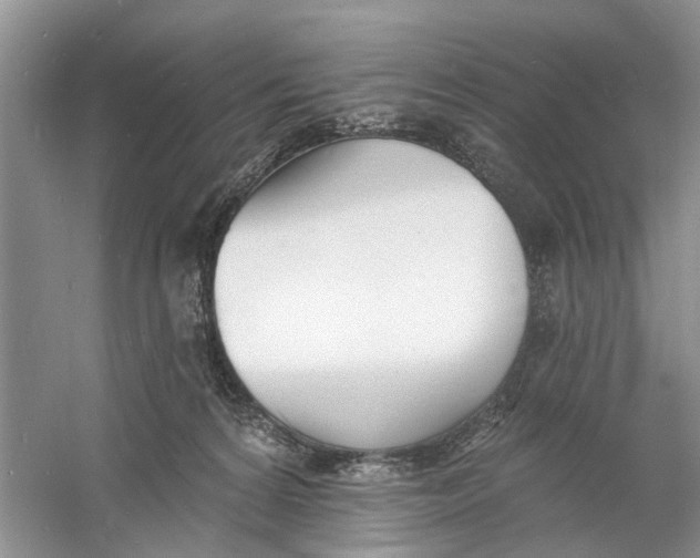 X0000060740224200512011428