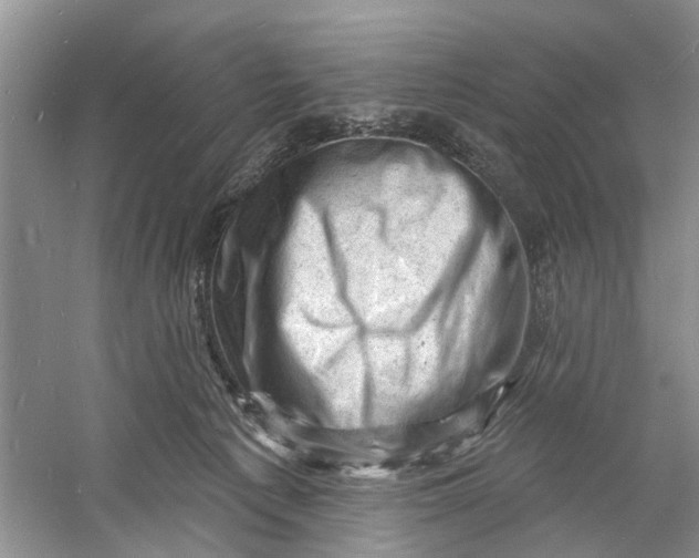 X0000060740225200512011428