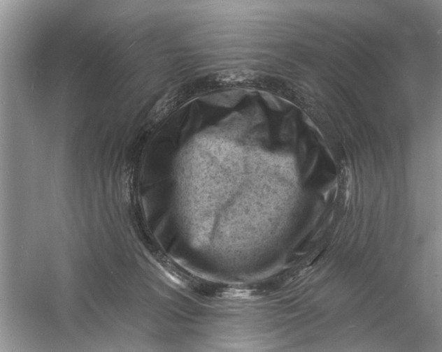 X0000060740227200512011428