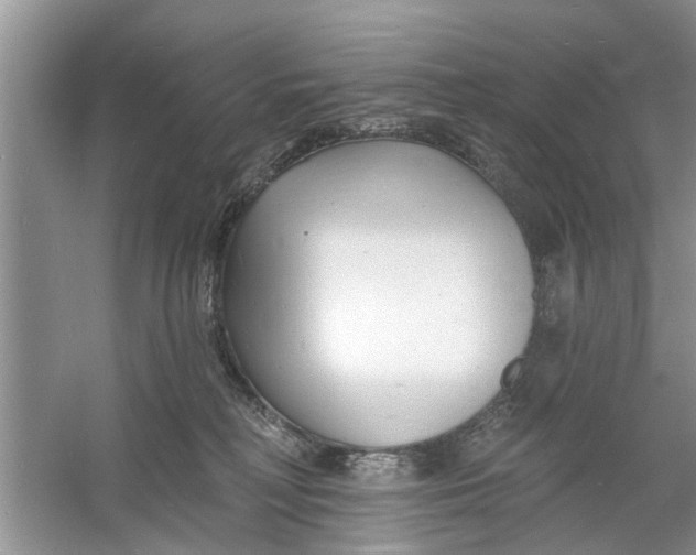 X0000060740230200512011428