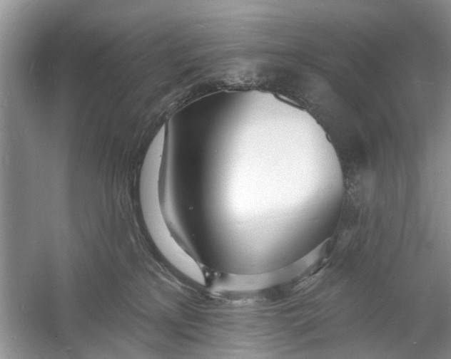 X0000060740233200512011428