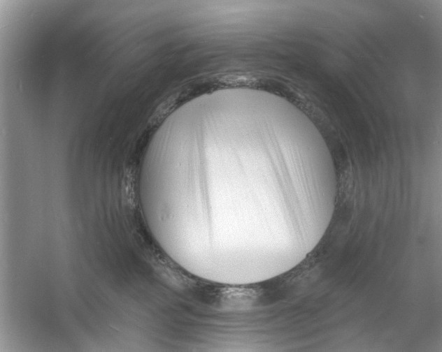 X0000060740234200512011428