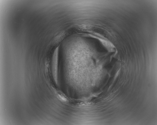 X0000060740235200512011428