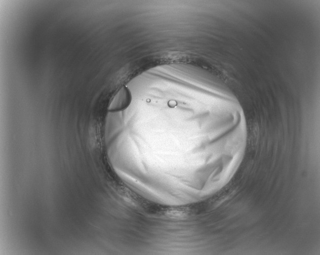 X0000060740236200512011428