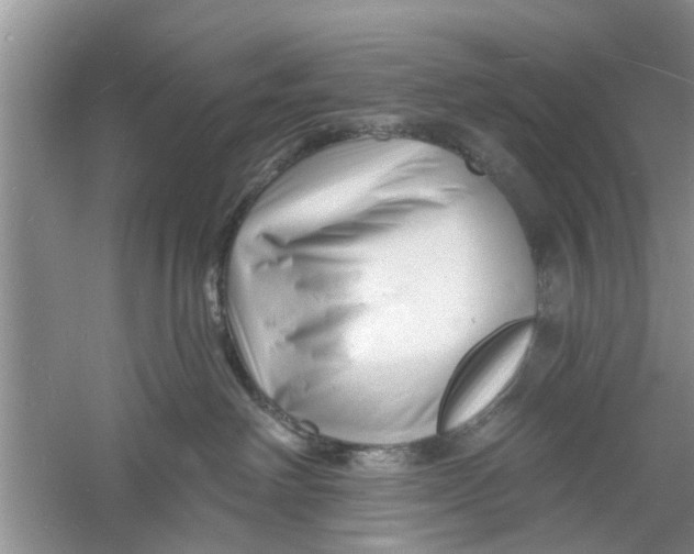 X0000060740238200512011428