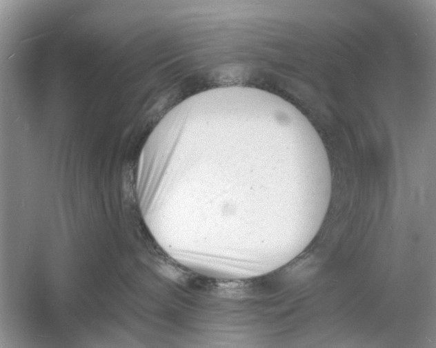 X0000060740240200512011428